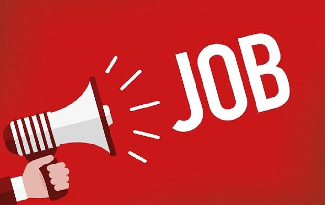 Court secretary and Amicus curiae Job : खुशखबरी ! बिहार में कचहरी सचिव और न्याय मित्र की होगी बंपर बहाली