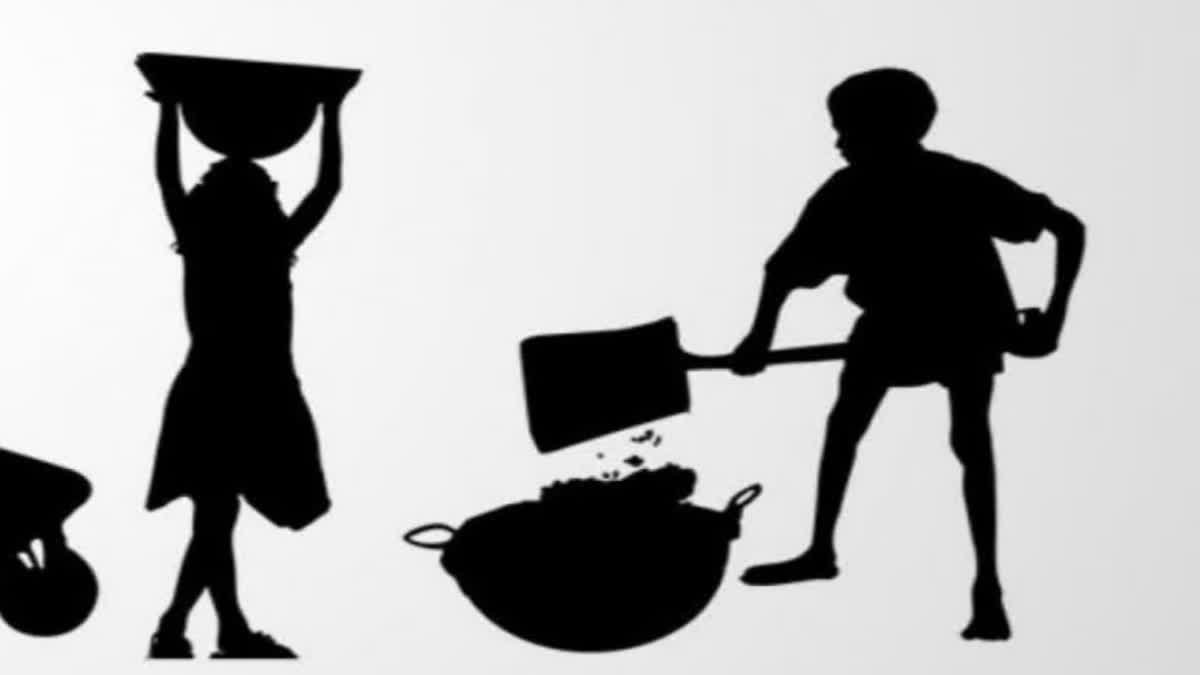 Child Labour-Free Panchayat: 54 panchayats in Darbhanga to become 'child labour-free'; DM Kaushal Kumar issues strict directives.